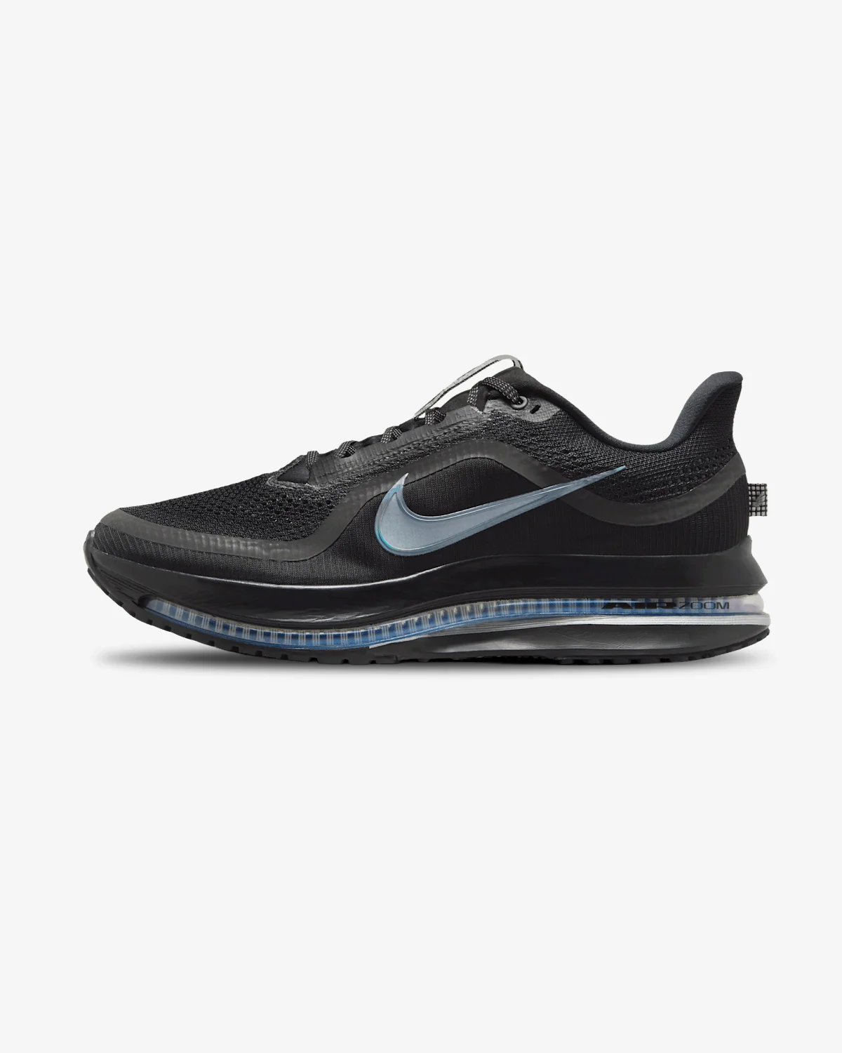 Nike Pegasus Premium Black/Metallic Silver